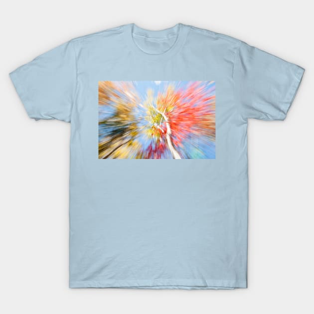 Birch trees in fall, Maine, Vibrant nature abstract. T-Shirt by brians101